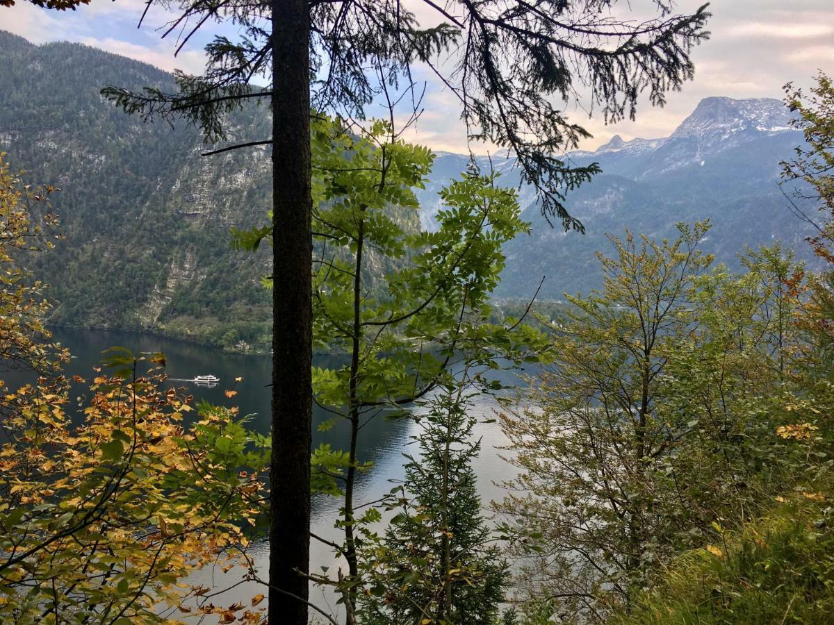 Landhaus Hallstaettersee บัดกอยเซิร์น ภายนอก รูปภาพ