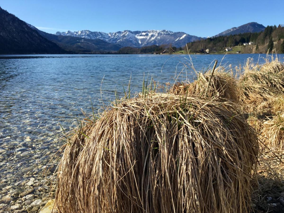 Landhaus Hallstaettersee บัดกอยเซิร์น ภายนอก รูปภาพ