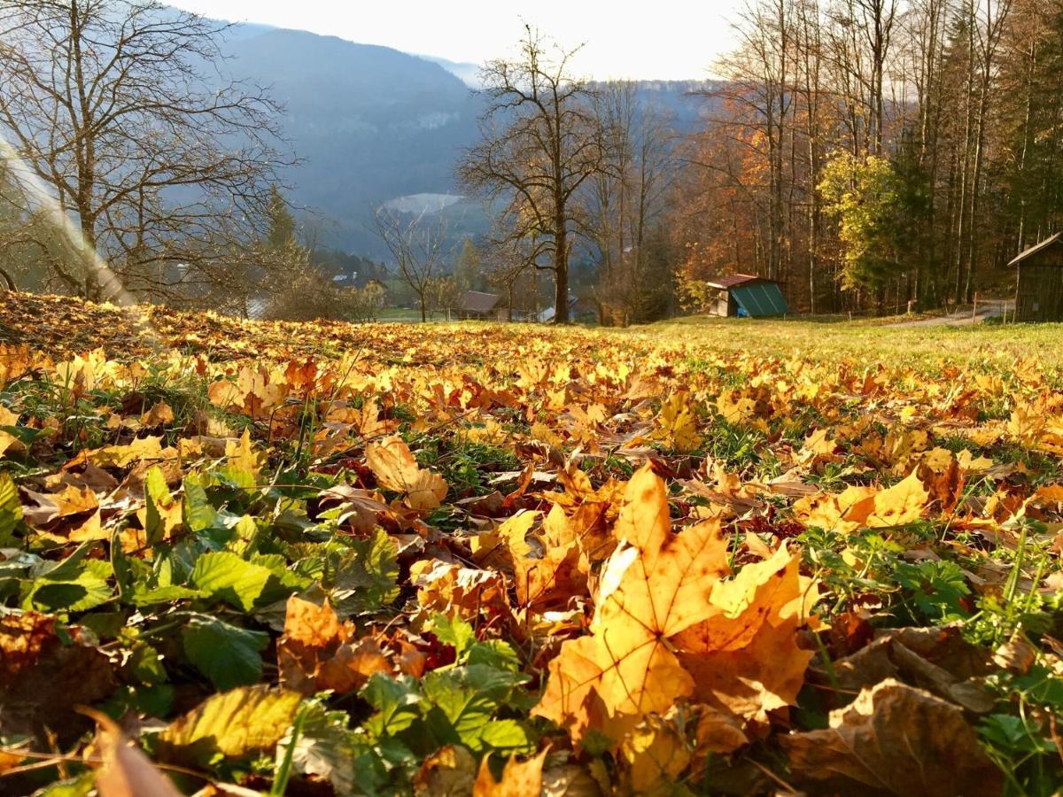 Landhaus Hallstaettersee บัดกอยเซิร์น ภายนอก รูปภาพ